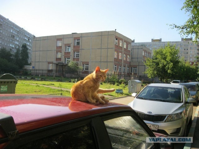 Отпуск в Нижнем Новгороде.