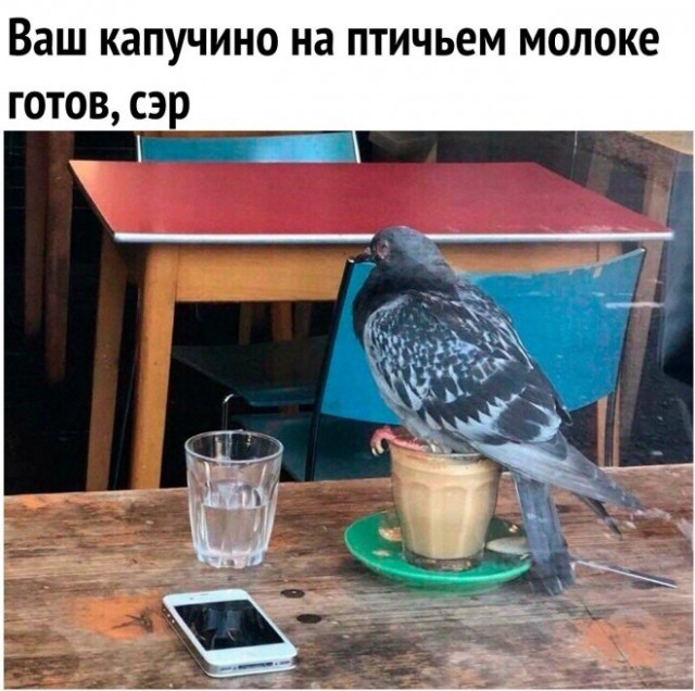 Картинки и мемы для настроения - 009