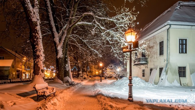 Картинок вам