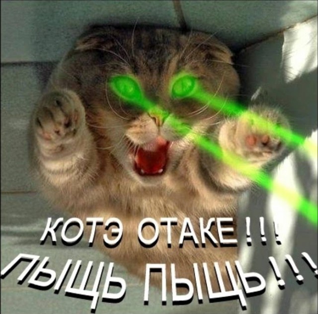 Короткая история о бурном романе из молодости