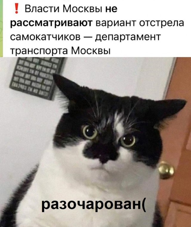Недопятница 29.09.23