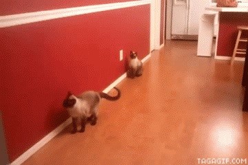 Снервничал!