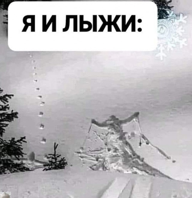18691919.jpg