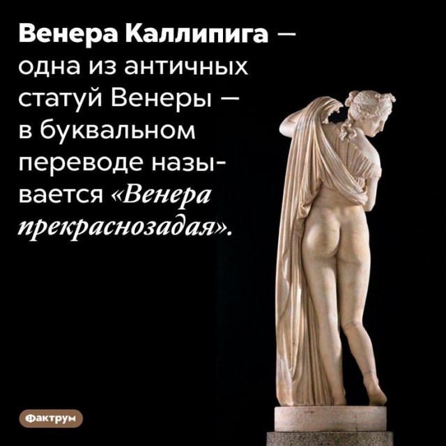 Прикольные и просто красивые картинки 08.03.2024