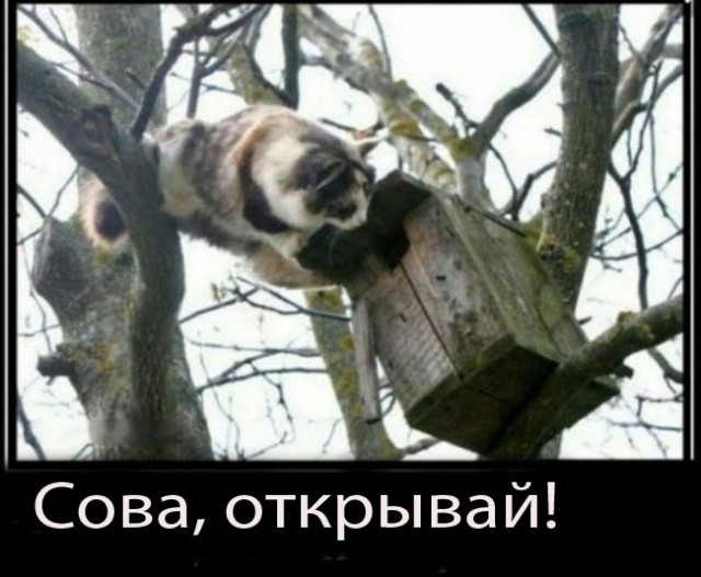 Так себе картинки 14.04.24