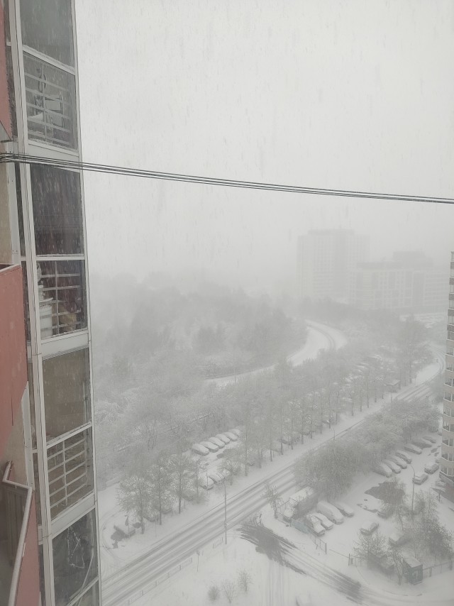Это май баловник, это май чародей...