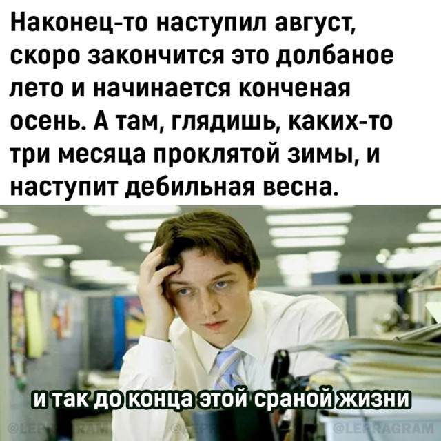 Весёлый полтишок 13.08.24