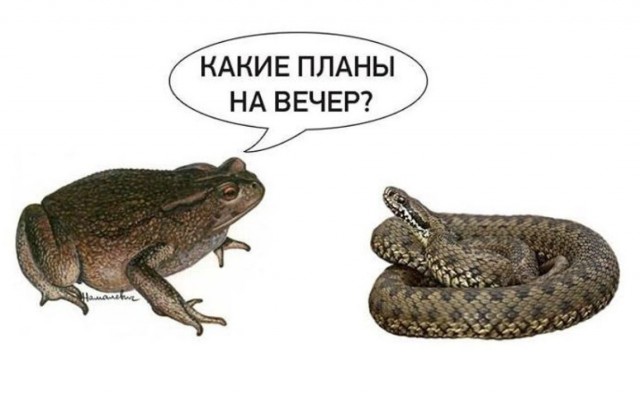 Новые видео в деле Екатерина Мизулина vs Артемий Лебедев