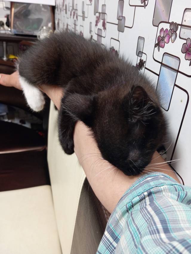 Его первый вторник