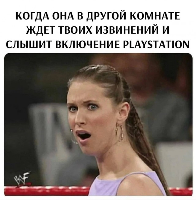 20331919.jpg