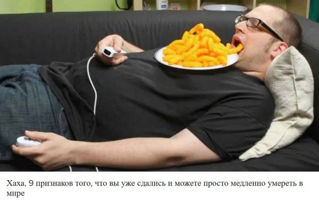 Гибель мышиного рая