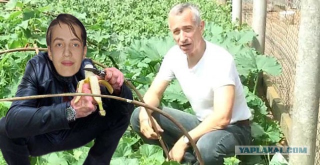 Фотожаба. Свидетель из Останкино