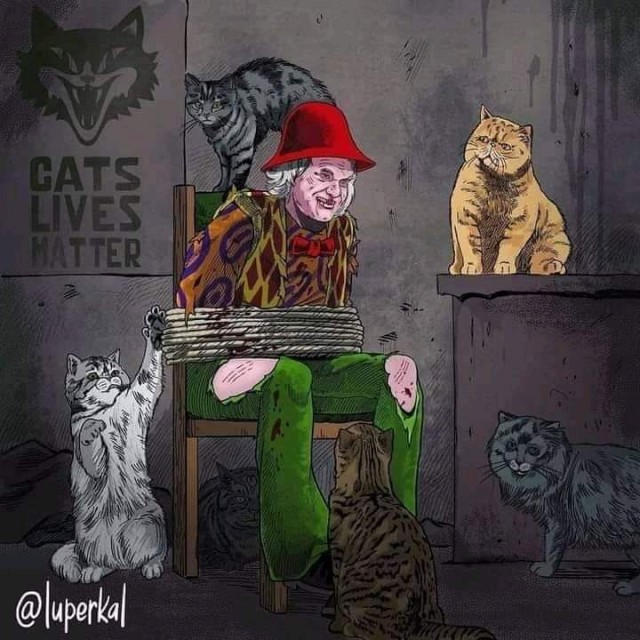 К котовторнику: подборка картинок-баянов с котиками и про котиков. Выпуск 27.