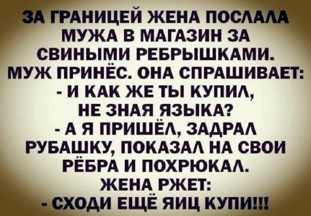 Так себе картинки 29.12.25