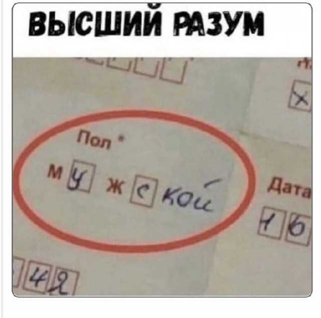 Субботние картинки