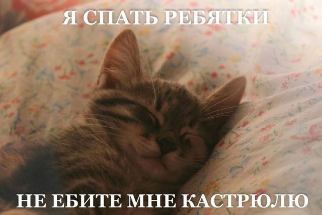 А давайте СПАТЬ!