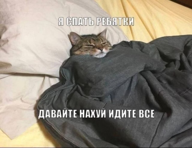 Картинки для деградации 288 (разной степени свежести)