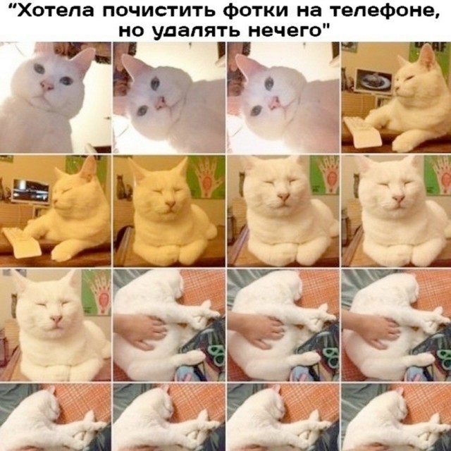 Так себе картинки 22.10.26