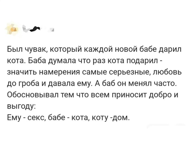 Суд в Амстердаме отказал мужчине в графике встреч с кошкой