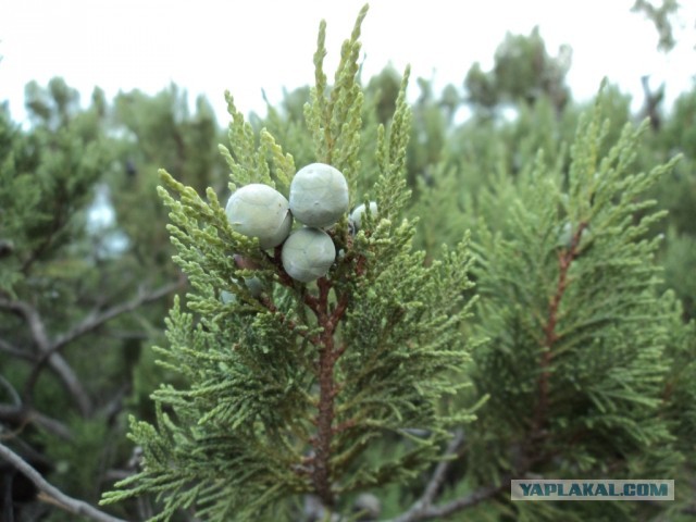 Крым: Судак и окрестности