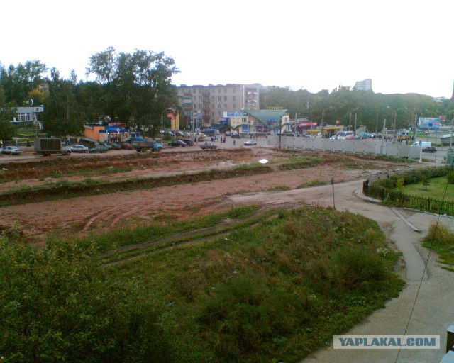 Самая старая фотография в телефоне,