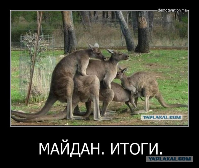 Митинг в Донецке