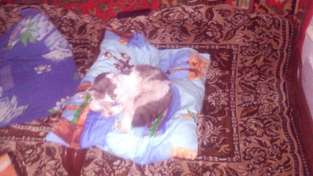 Деревенская Америка