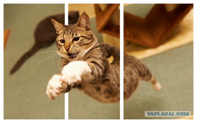 Простой способ сделать 3D фотографию