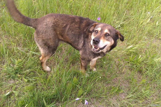 Просто выходные...