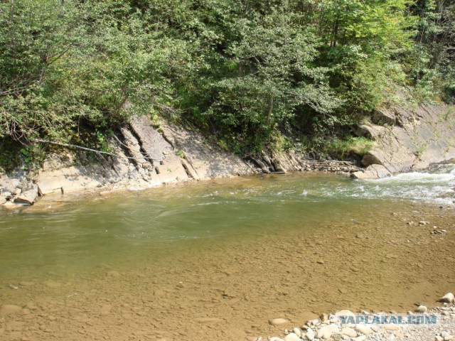 Горганы