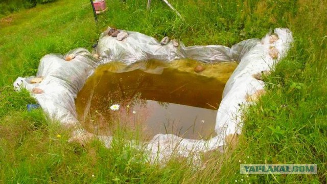 Правильная теплица