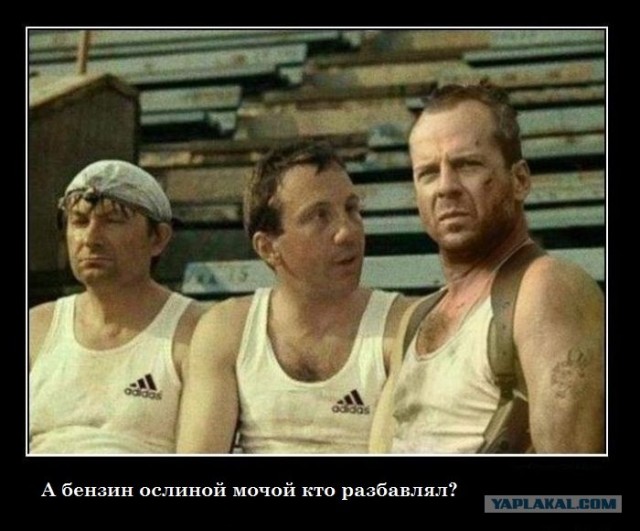 Цитаты из советских фильмов актуальны и сейчас