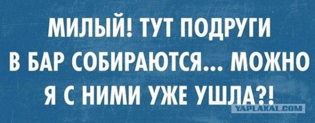 Подборка смешных и забавных фото