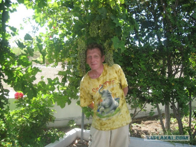 Греция, Родос, для самостоятельных.