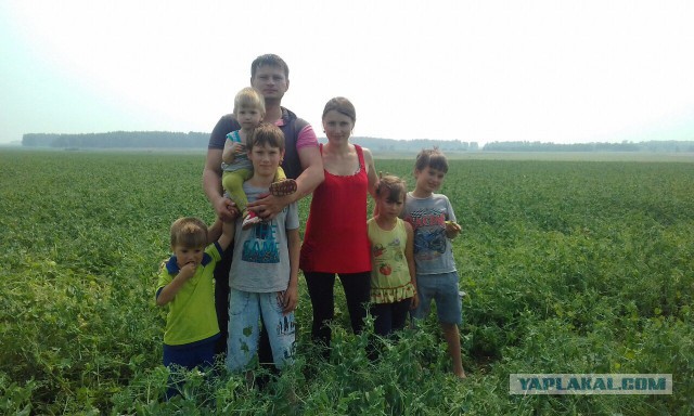 В Сибири у «образцовых родителей» суд забрал разом шесть детей