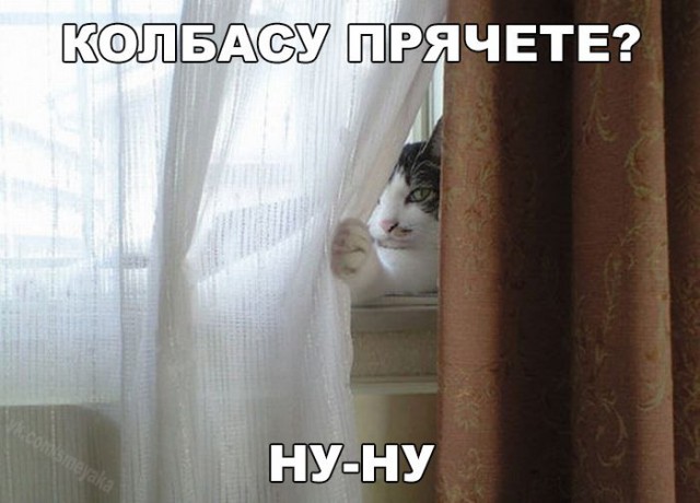 Разные картинки из сети