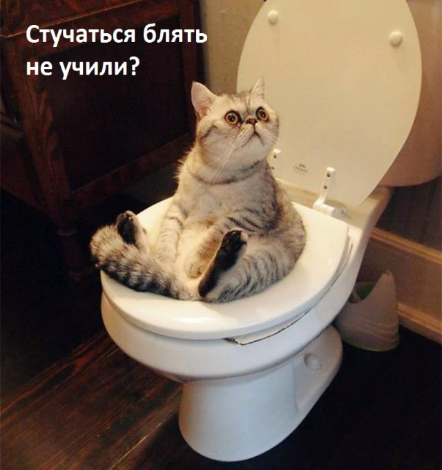 Пятничные ерундушки
