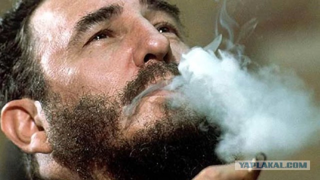 С 14 октября курить на улице будет запрещено. Совсем. Слышали новость?