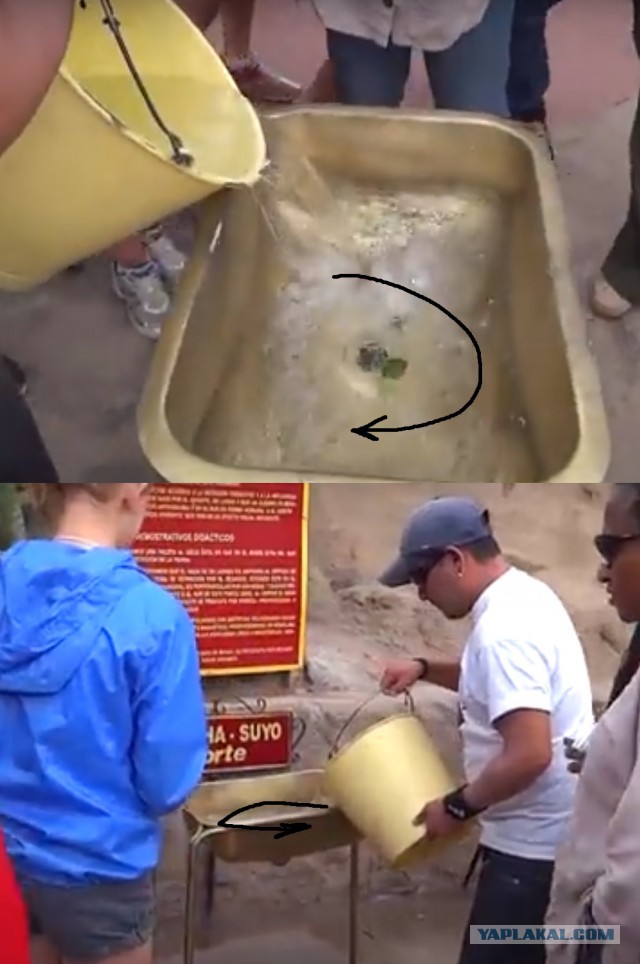 Как сливается вода из раковины на экваторе
