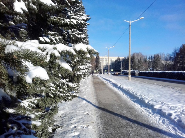 Осенняя тема. На подходе к зиме.
