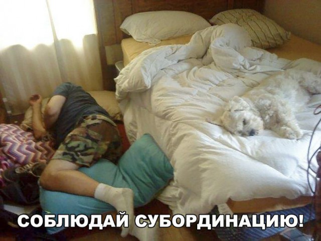 Нестандартный юмор