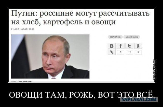 В 2017 году впервые за 15 лет вся посевная площадь в России превысила планку в 80 млн га.