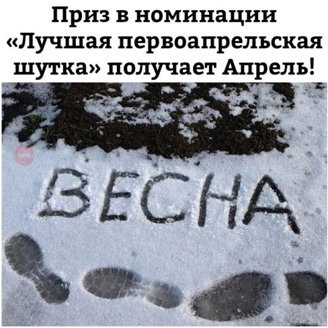 Прикольные картинки обо всём
