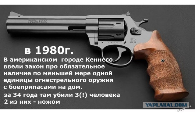 Гражданское оружие в США