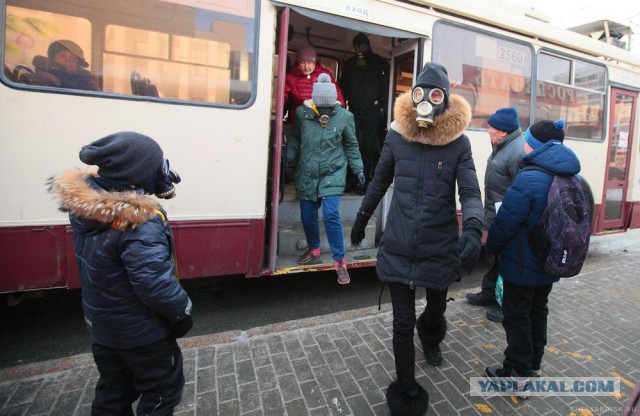 Прецедент: В Британии женщину приговорили к пожизненному запрету на посещение автобусов из-за "рома и фасоли"