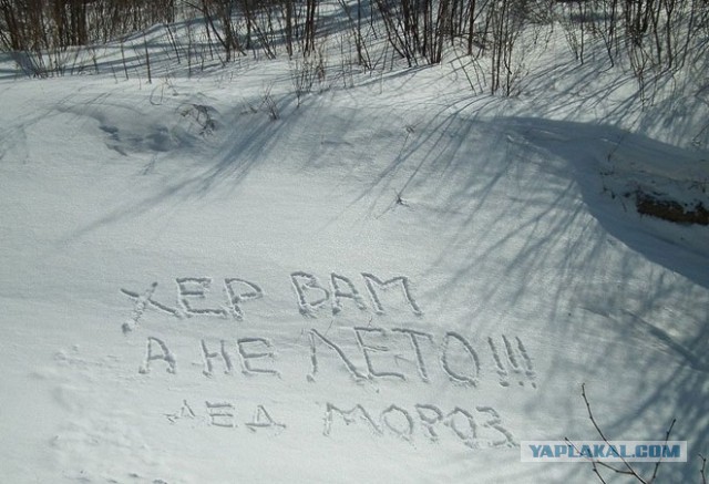 Коротко о погоде