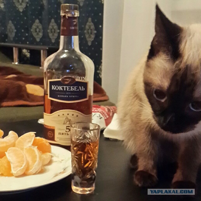 Традиции нарушать нельзя!