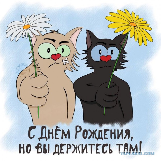 С Днем Рождения, Kasja222