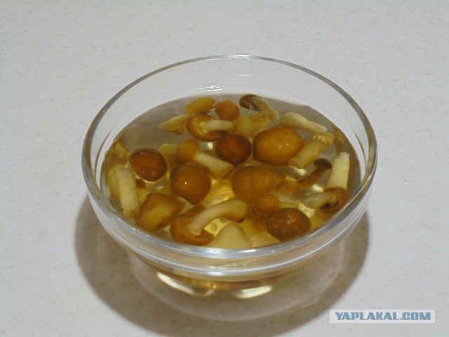 Сон в новогоднюю ночь