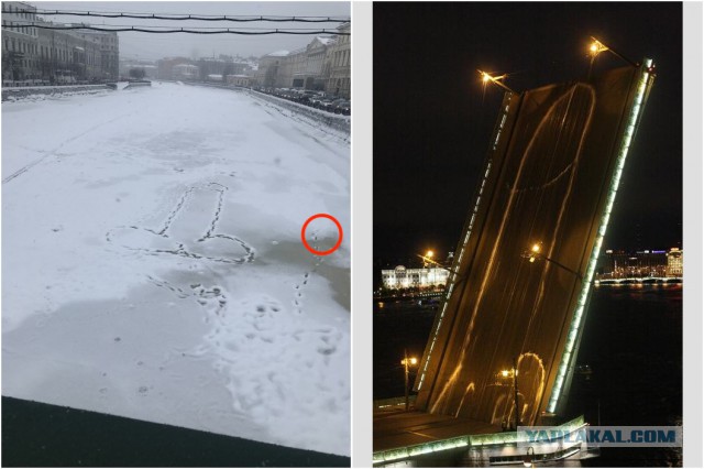 Что творится на дорогах Петербурга после снегопада